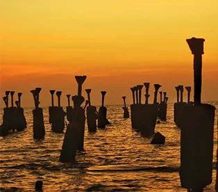 best business listing site